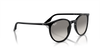 Ray-Ban RB2204 Round Sunglasses - Black - view 4