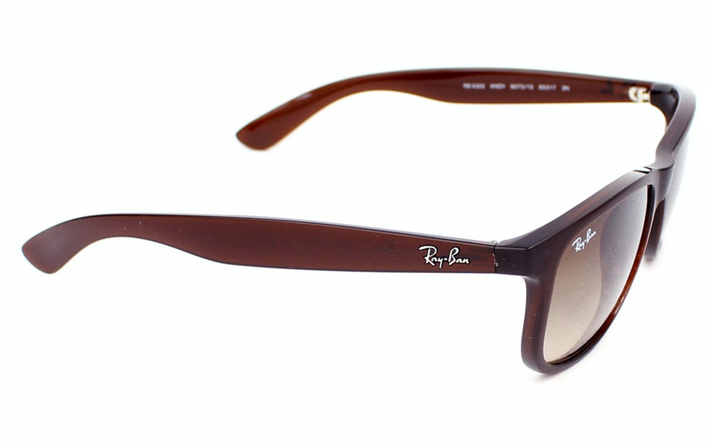 Ray Ban Wayfarer RB 4202 6073/13 Sunglass | Sunglass | Better Vision